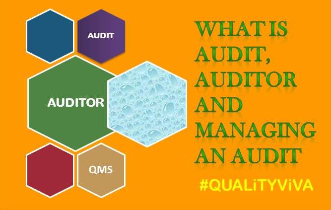 WHAT IS AUDIT, AUDITOR AND MANAGING AN AUDIT ?